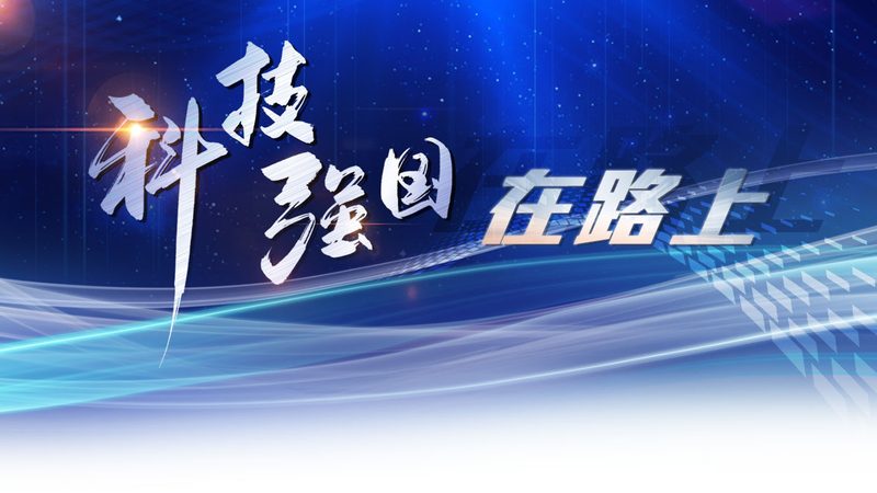 数据安全等级保护：企业选型关键要素解析